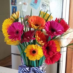 Meet your Posher, Carol